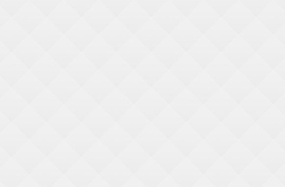 How to Organize an Election Campaign