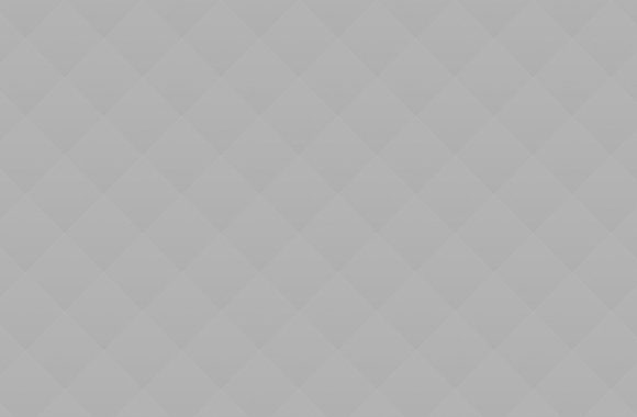 The Significant Political Campaigns